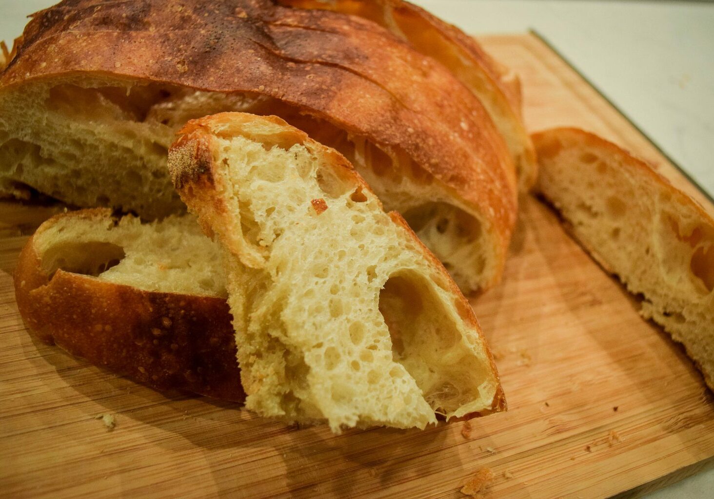 Bread-web