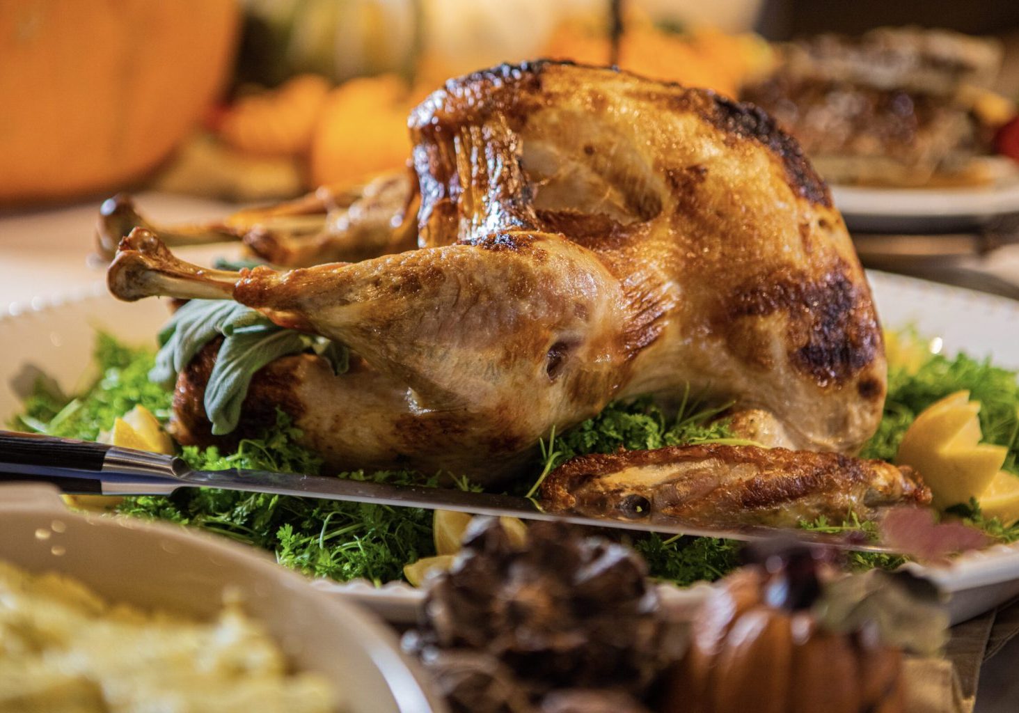 Convection Steam Oven Turkey VeryVera